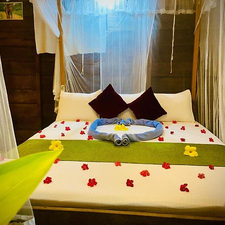 Coconut Island Yala Safari Place 티사마하라마 외부 사진