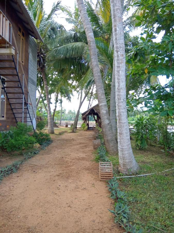 Coconut Island Yala 호텔 티사마하라마 외부 사진