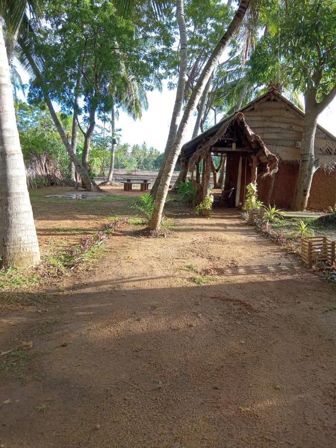 Coconut Island Yala Safari Place 티사마하라마 외부 사진