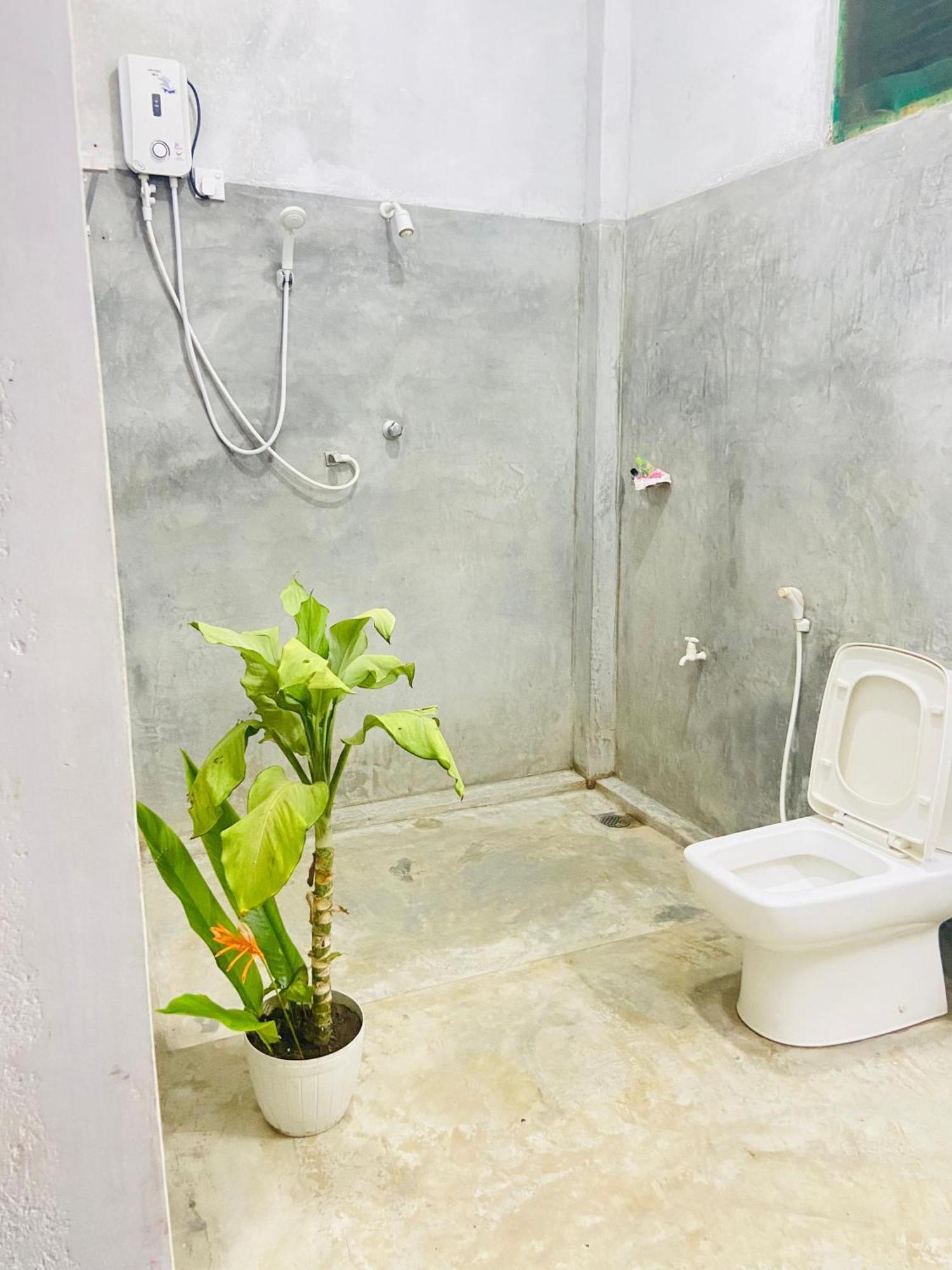 Coconut Island Yala Safari Place 티사마하라마 외부 사진