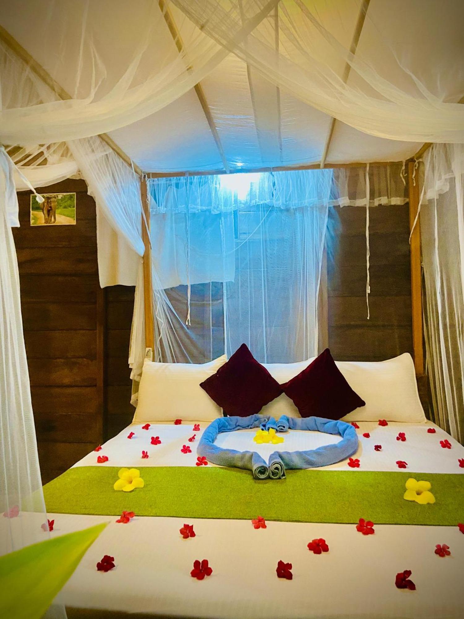 Coconut Island Yala Safari Place 티사마하라마 외부 사진