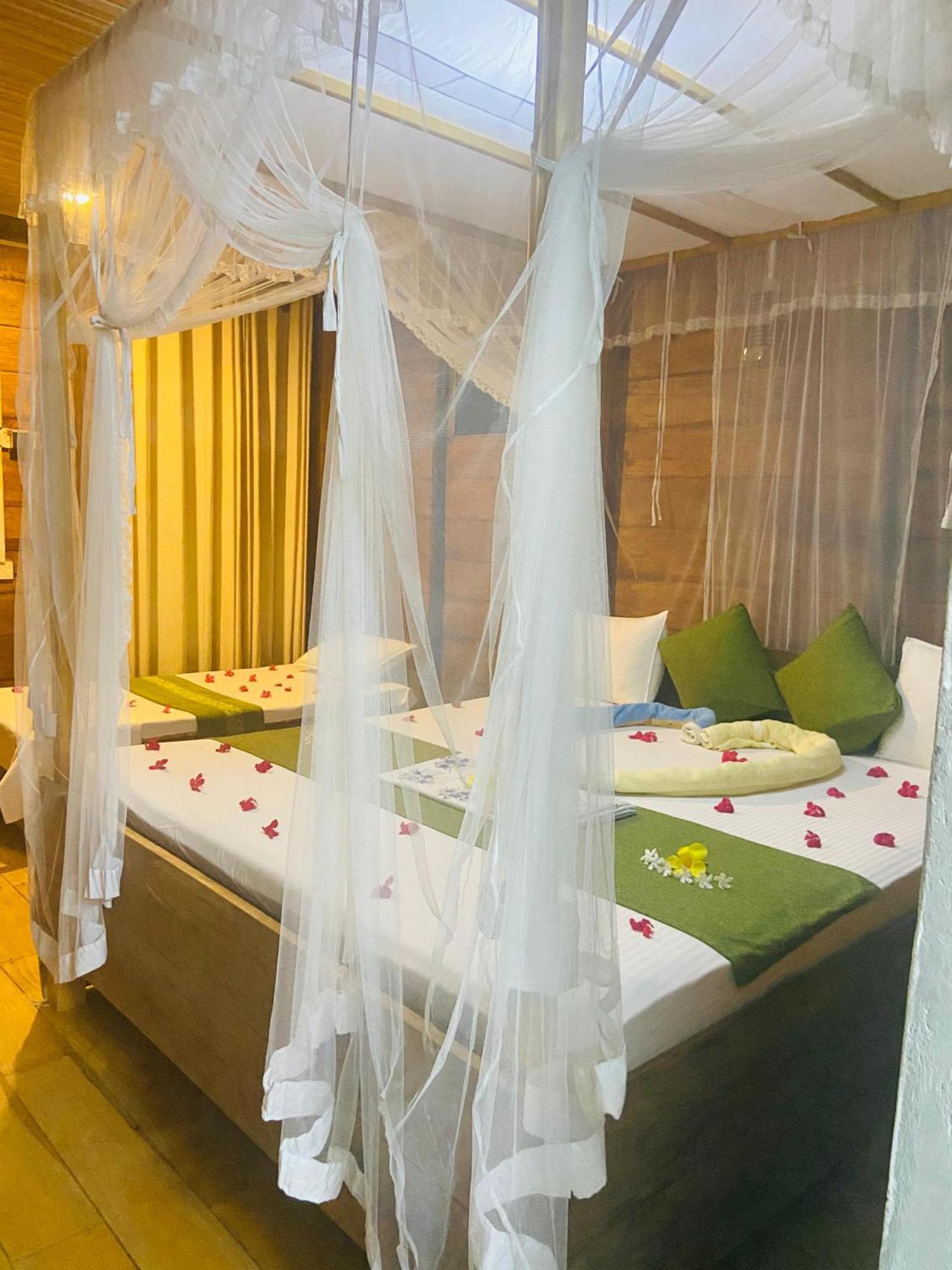 Coconut Island Yala Safari Place 티사마하라마 외부 사진