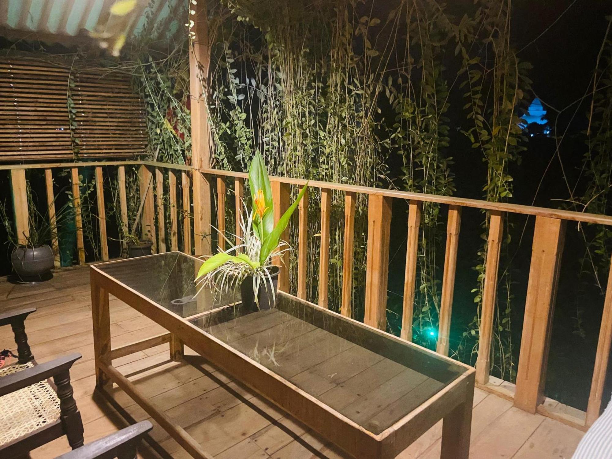Coconut Island Yala Safari Place 티사마하라마 외부 사진
