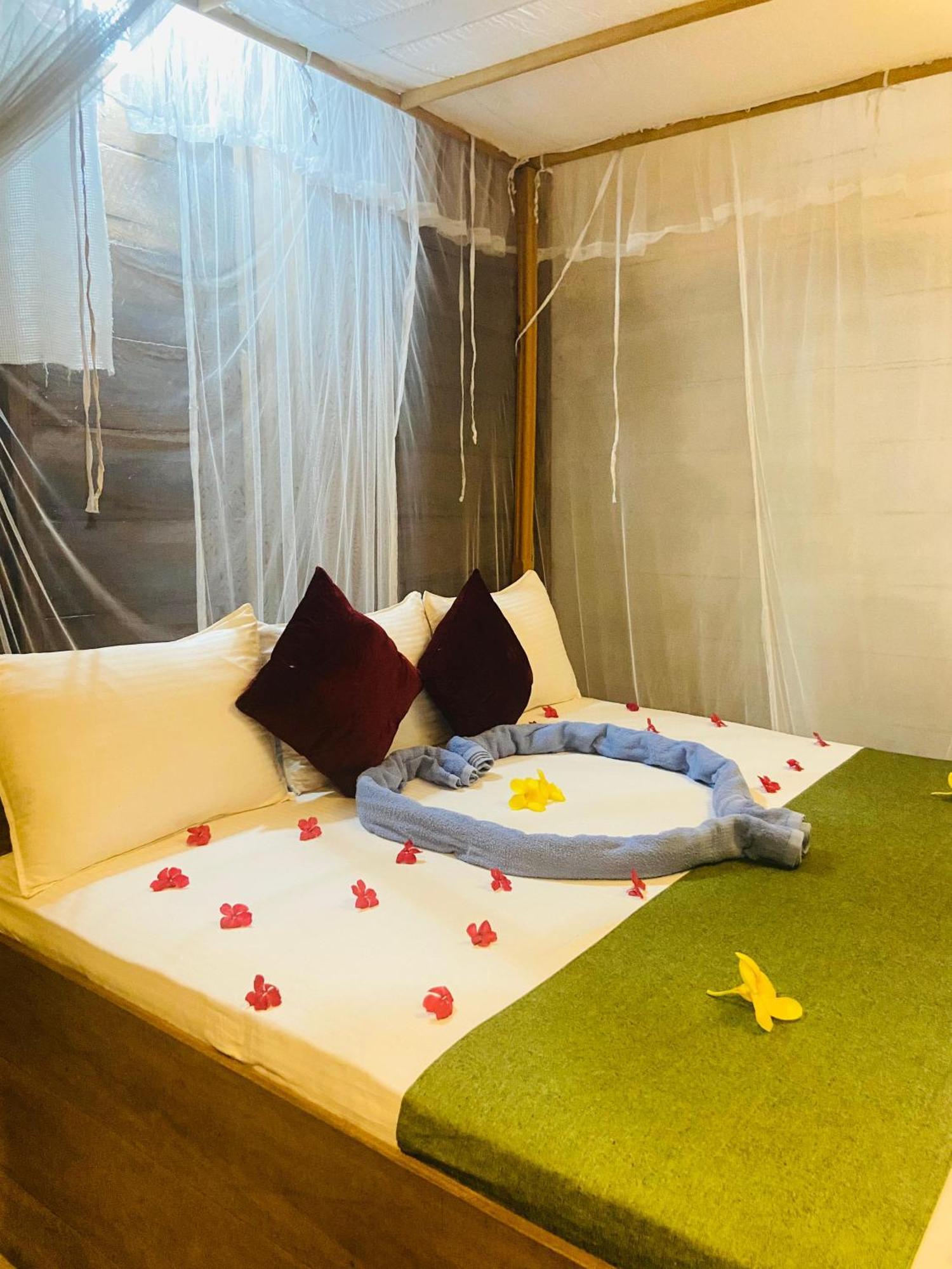 Coconut Island Yala Safari Place 티사마하라마 외부 사진